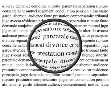 avocat en droit de la famille Montauban